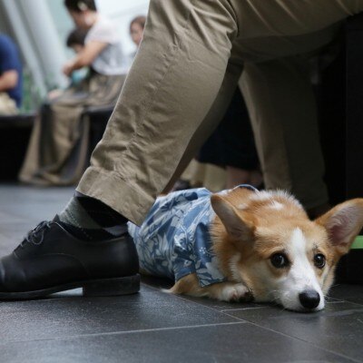 愛犬も参加できることが「いいね！」と、即見学を申し込むことに♪