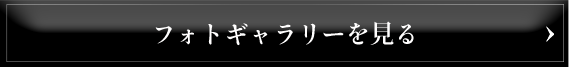 フォトギャラリーを見る