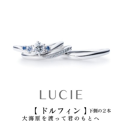 日本に42人だけのジュエリー1級プロの1人が応援する期待の結婚指輪「ドルフィン」